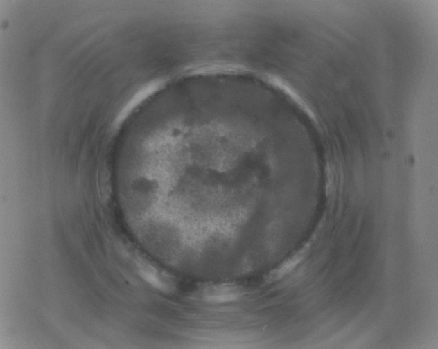 X0000076451213200610202326