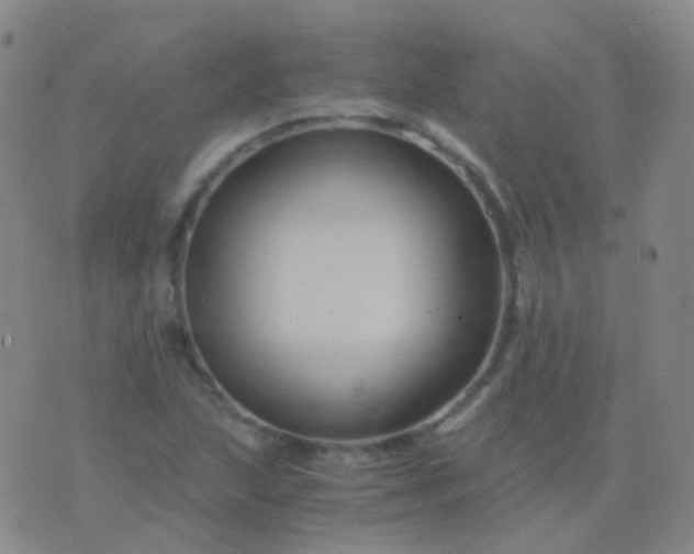 X0000076451215200610202326