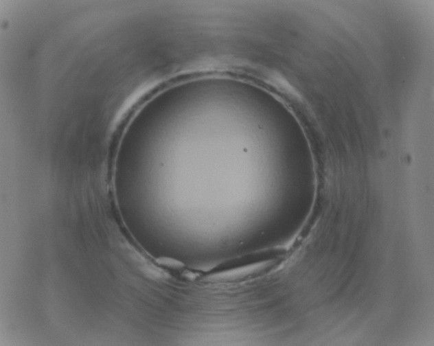 X0000076451216200610202326