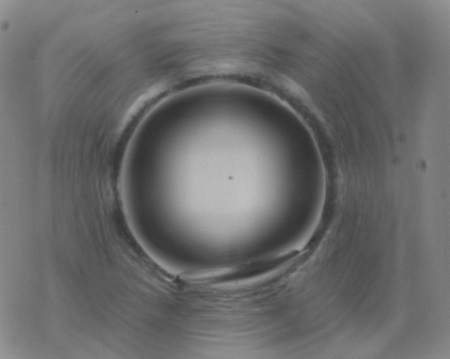 X0000076451218200610202326