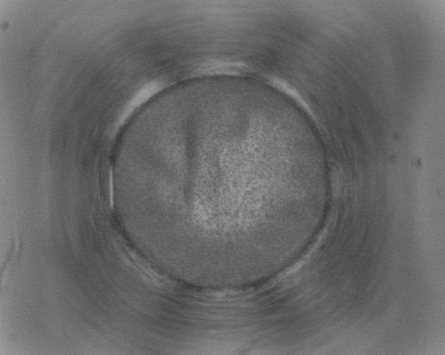 X0000076451219200610202326