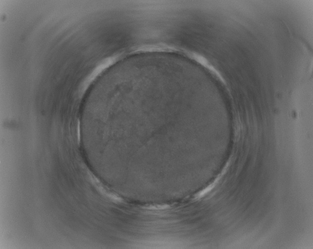 X0000076451221200610202326