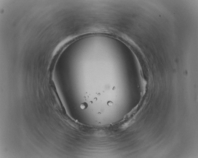 X0000076451222200610202326