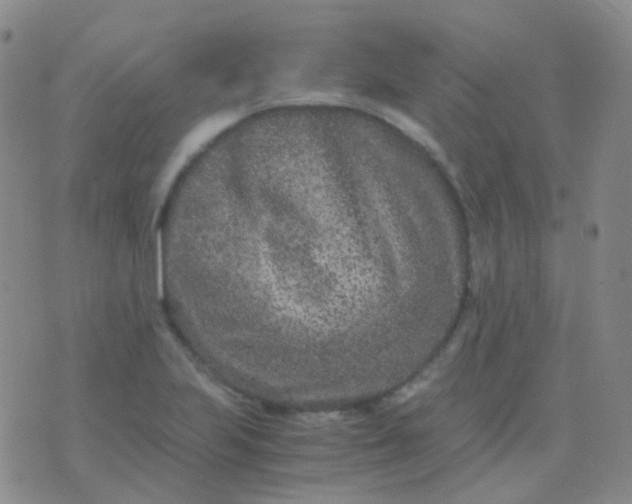 X0000076451223200610202326