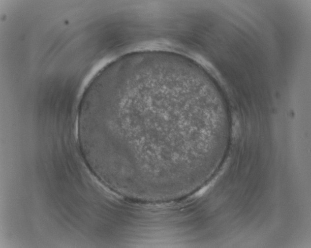 X0000076451224200610202326