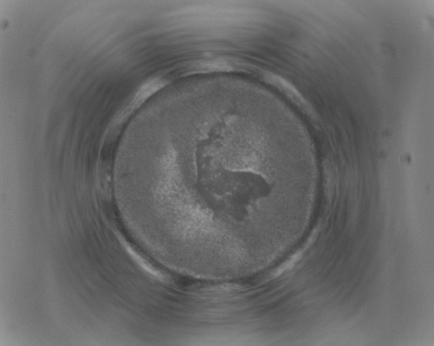 X0000076451225200610202326