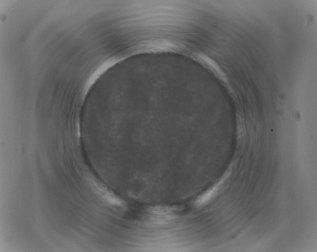 X0000076451226200610202326