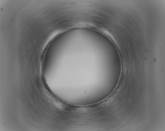 X0000076451227200610202326