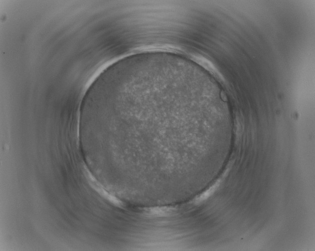 X0000076451228200610202326