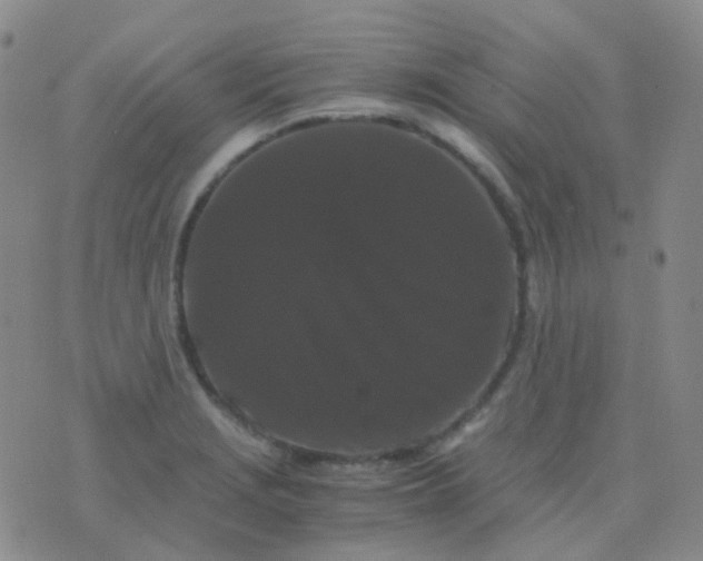 X0000076451229200610202326