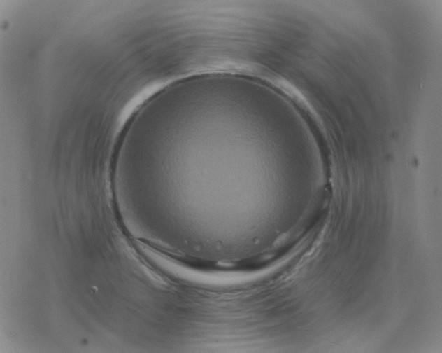 X0000076451230200610202327