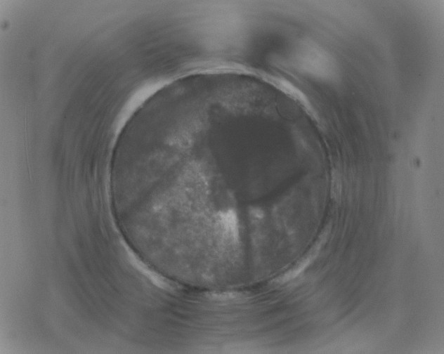 X0000076451231200610202327