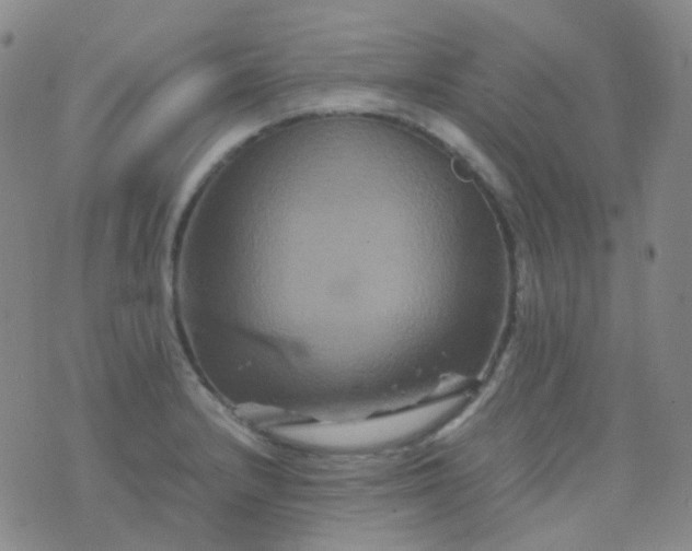 X0000076451232200610202327