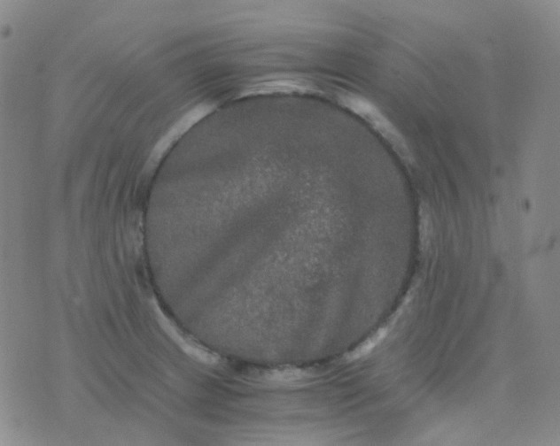 X0000076451233200610202327