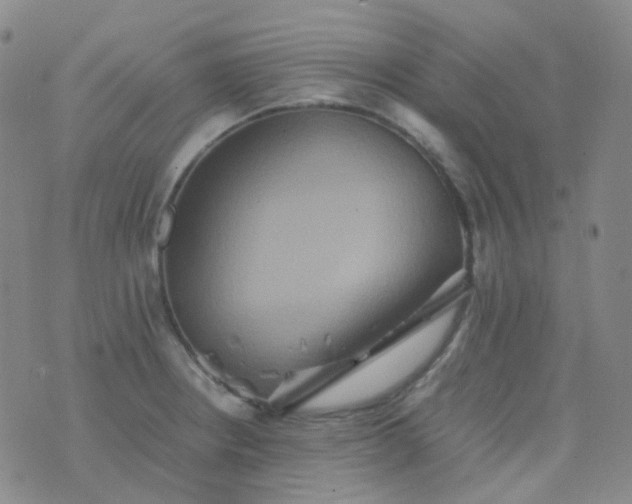 X0000076451234200610202327