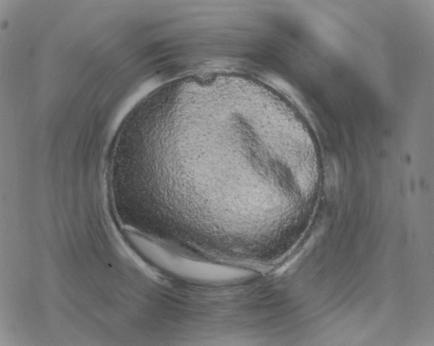 X0000076451235200610202327