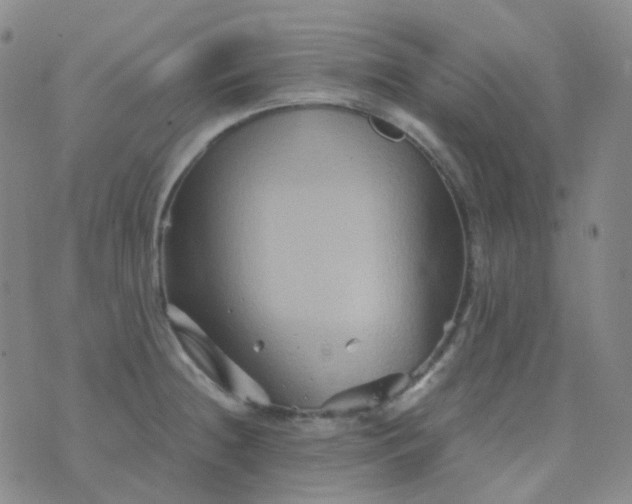 X0000076451236200610202327