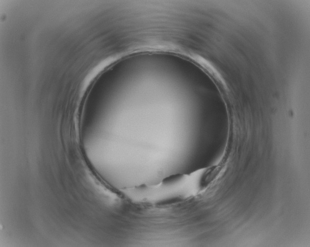 X0000076451238200610202327