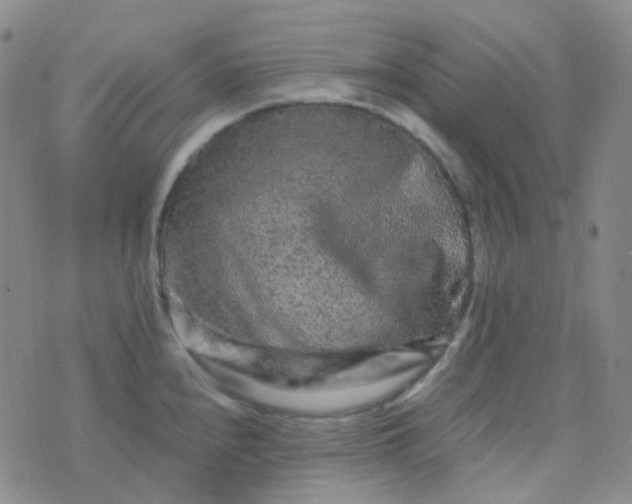 X0000076451240200610202327