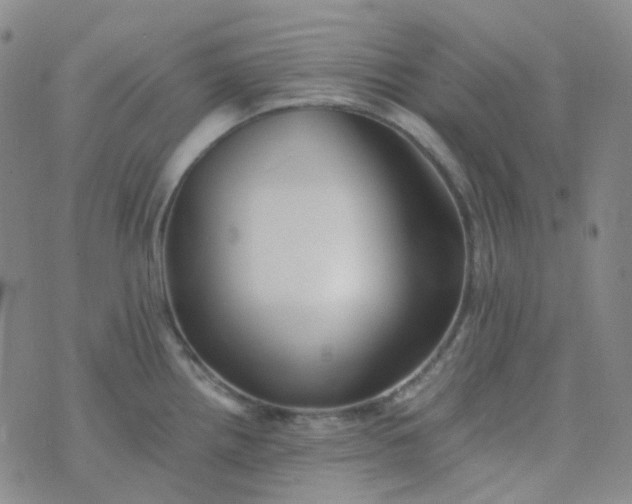 X0000076451242200610202327