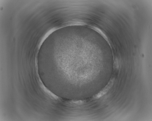 X0000076451243200610202327