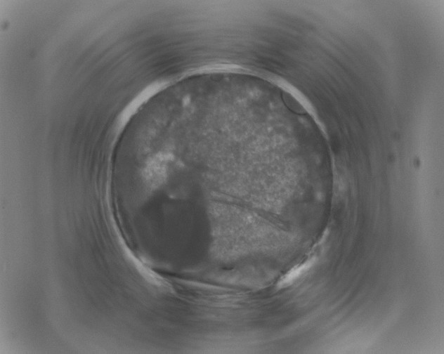 X0000076451245200610202327