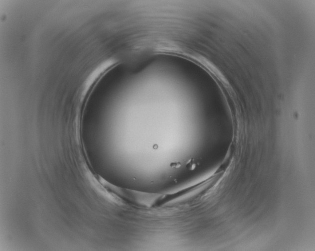 X0000076451246200610202327