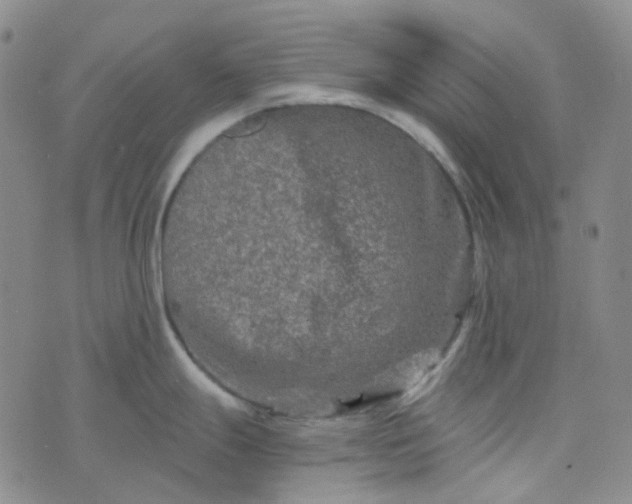 X0000076451247200610202327