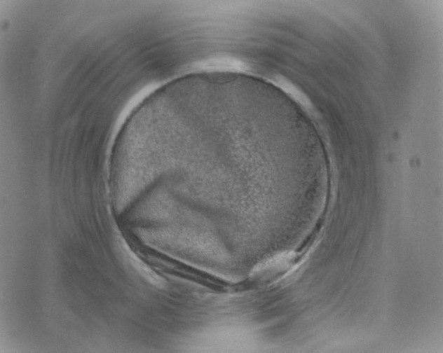 X0000076451248200610202327