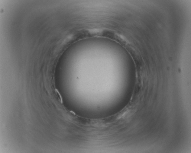 X0000076451249200610202326