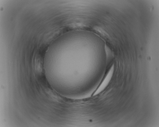 X0000076451250200610202326