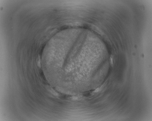 X0000076451251200610202326