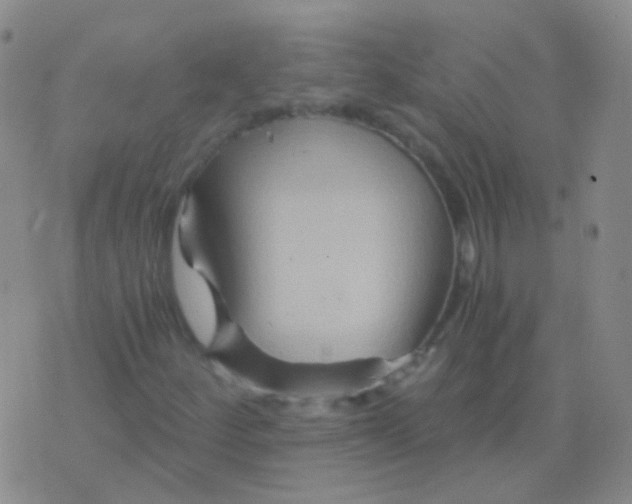 X0000076451252200610202326