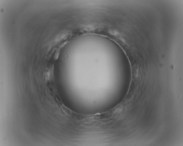 X0000076451253200610202326