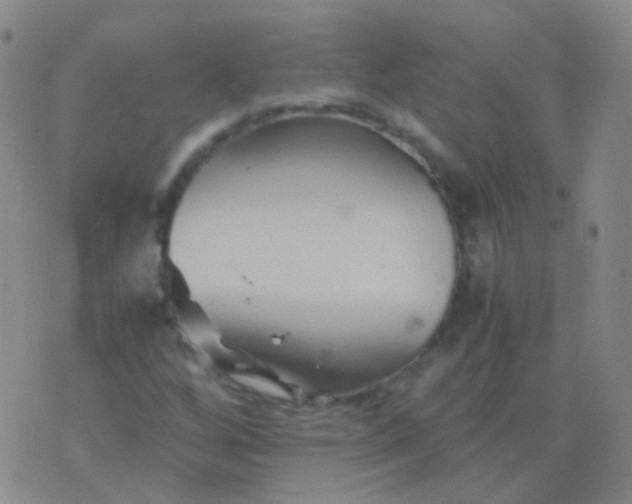 X0000076451256200610202326