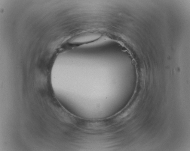 X0000076451257200610202326