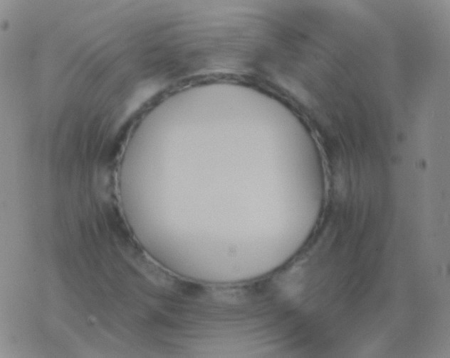 X0000076451258200610202326