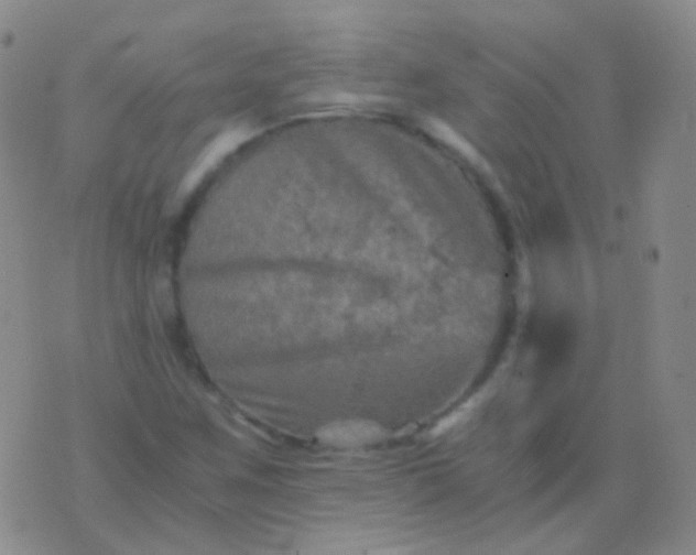 X0000076451259200610202326