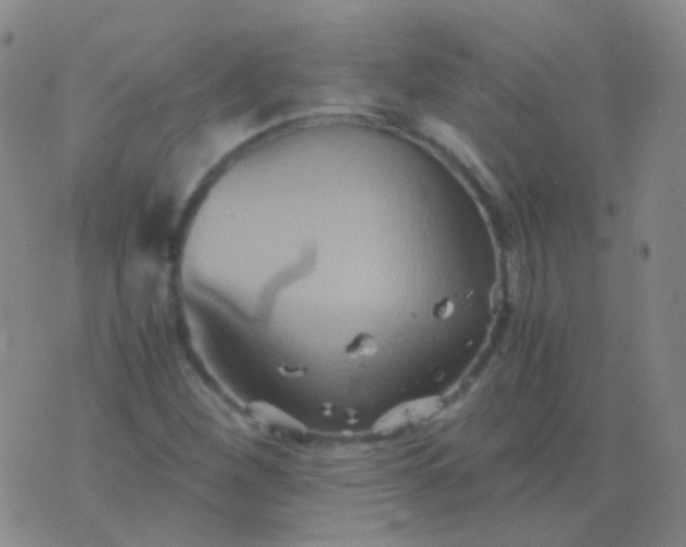 X0000076451260200610202326