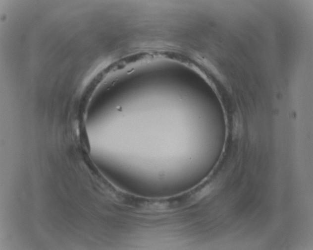 X0000076451261200610202326