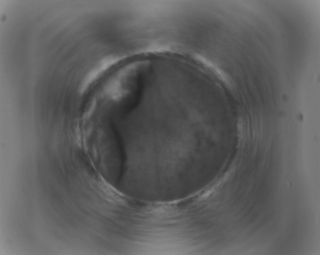 X0000076451262200610202326