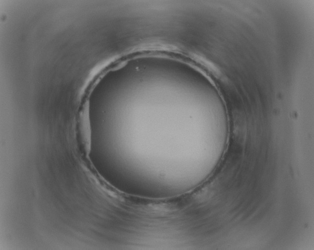 X0000076451264200610202326