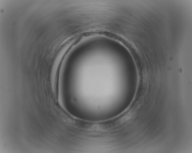 X0000076451265200610202326