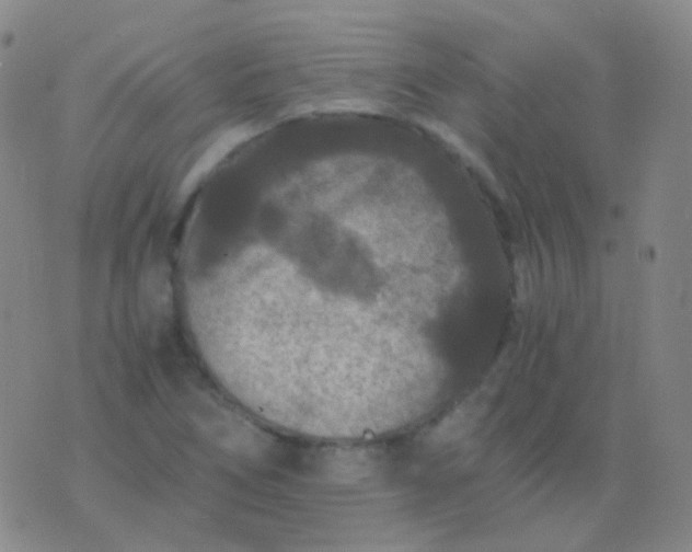 X0000076451266200610202326