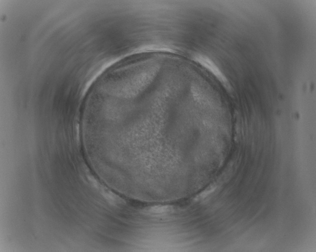 X0000076451268200610202326