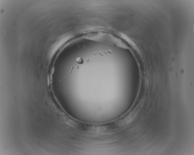 X0000076451269200610202326