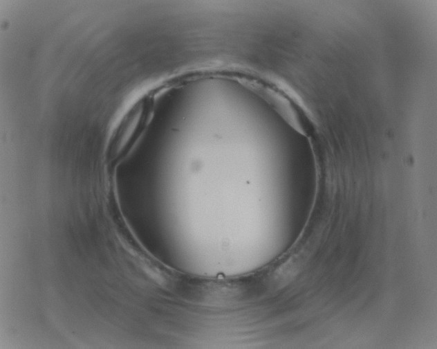 X0000076451270200610202326