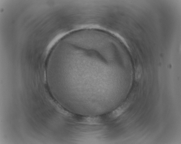 X0000076451271200610202326