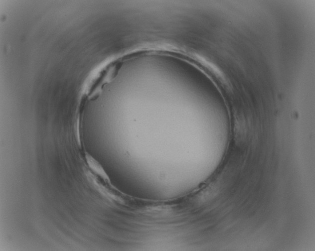 X0000076451272200610202326