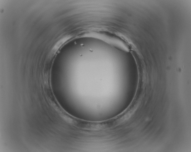 X0000076451273200610202326